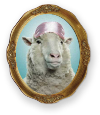 Portrait d'un mouton